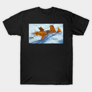 First Snow T-Shirt